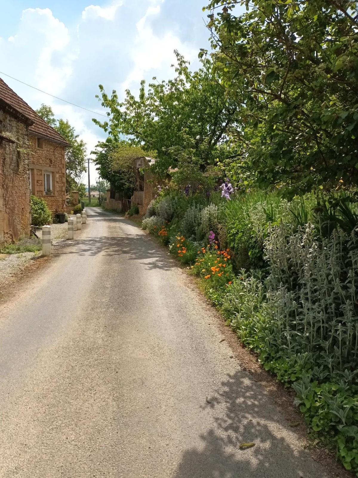 Ferme De Lagrave Hotel Coux-et-Bigaroque-Mouzens Luaran gambar